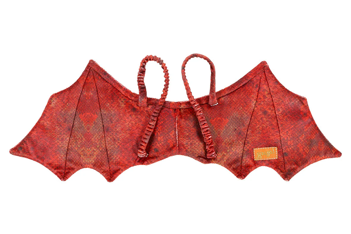 * Souza Rode draak vleugels + masker (1 set) - Image 2