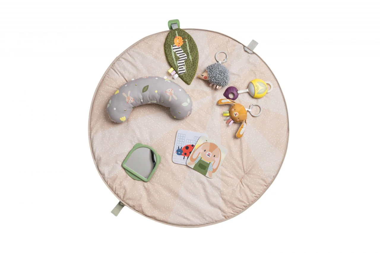Taf Toys Tummy Time Activity Gym - Image 12