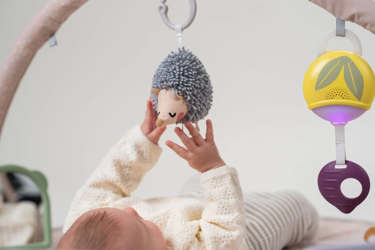 Taf Toys Tummy Time Activity Gym - Image 13