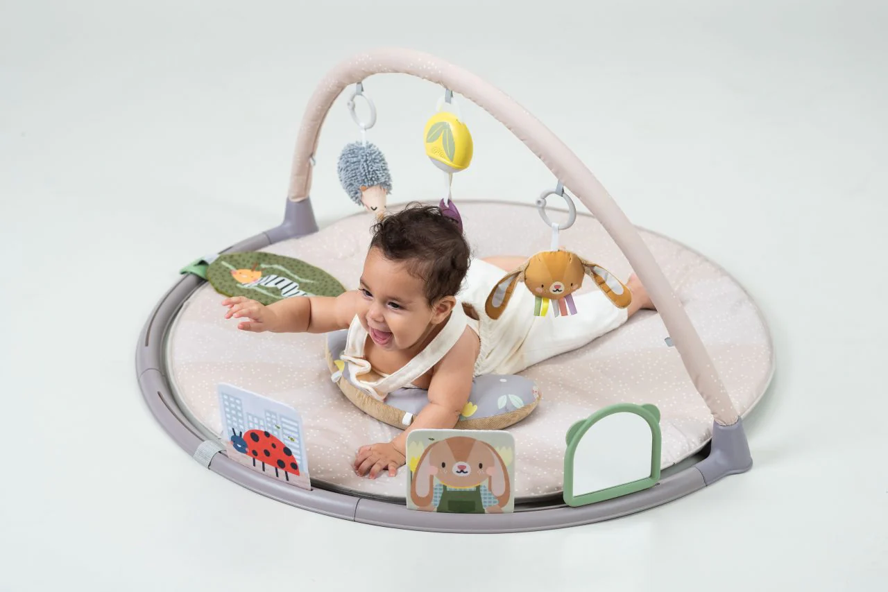 Taf Toys Tummy Time Activity Gym - Image 14
