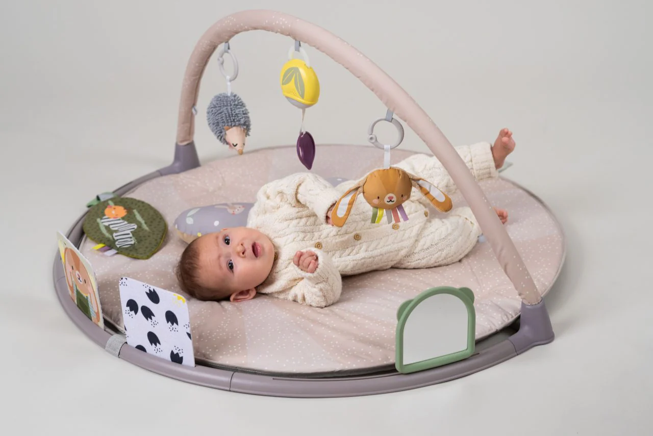 Taf Toys Tummy Time Activity Gym - Image 15