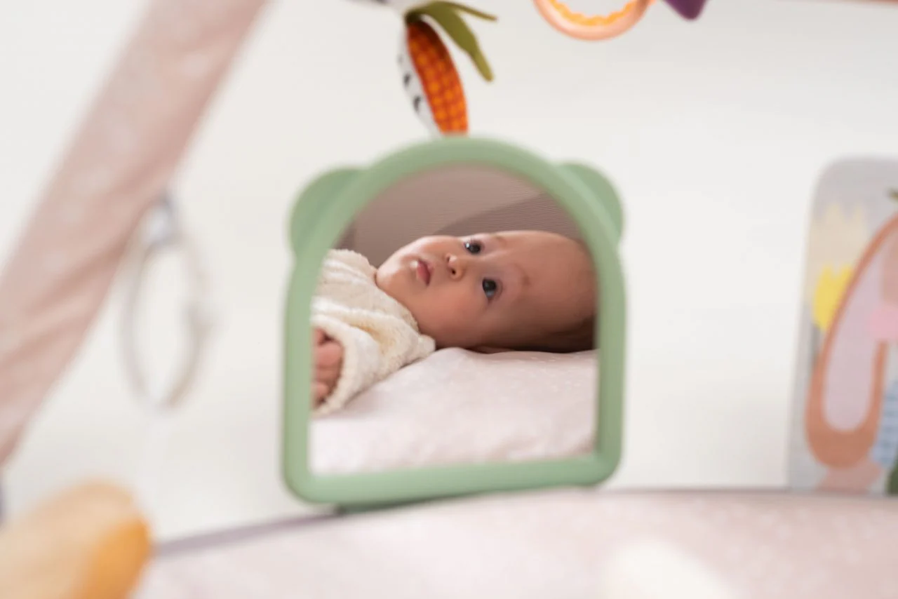 Taf Toys Tummy Time Activity Gym - Image 16