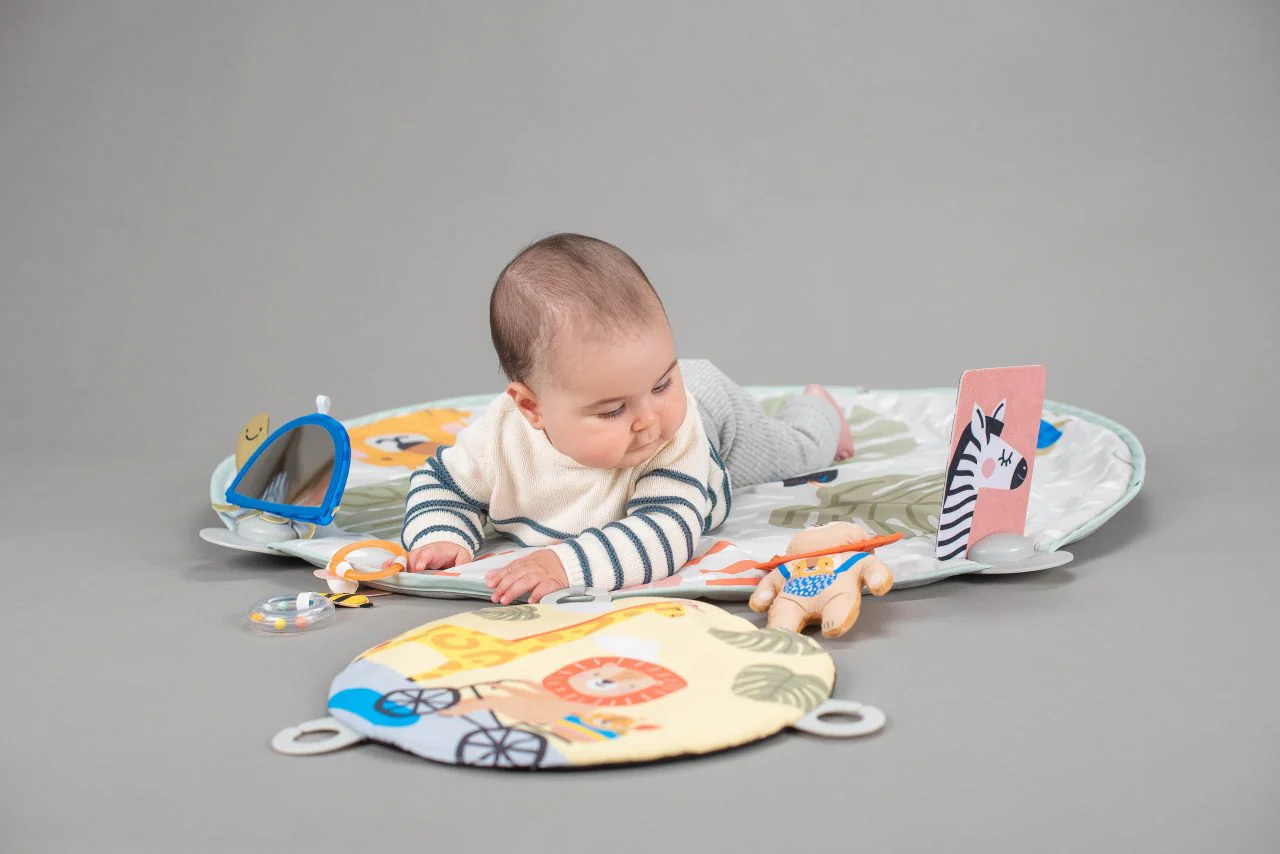 Taf Toys Savannah Activity Gym - Image 9